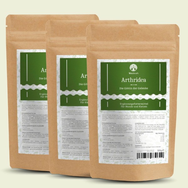 Set: 3er Pack - Arthridea - Die Göttin der Gelenke - Nachfüllpack 3x 300g