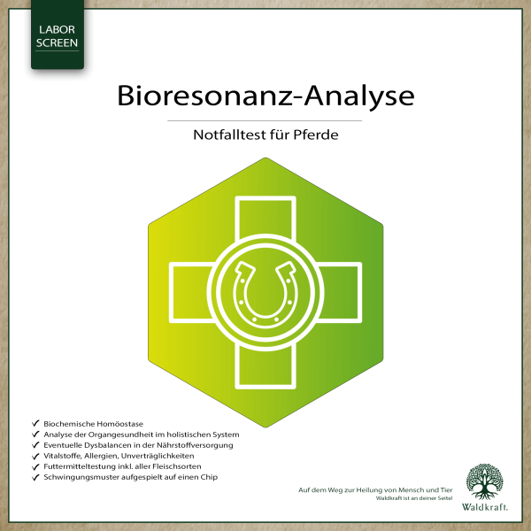 Bioresonance analysis horse emergency