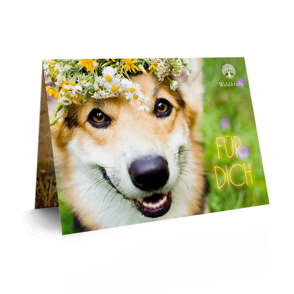 Der besondere Geschenkgutschein