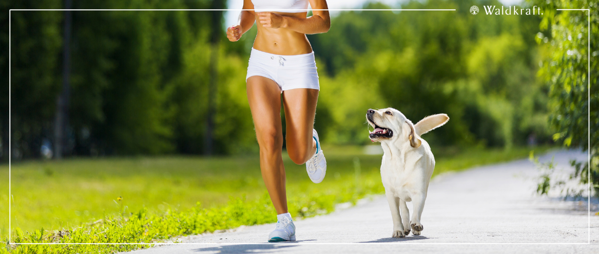 Arthridea & Arthribasis für Tiere