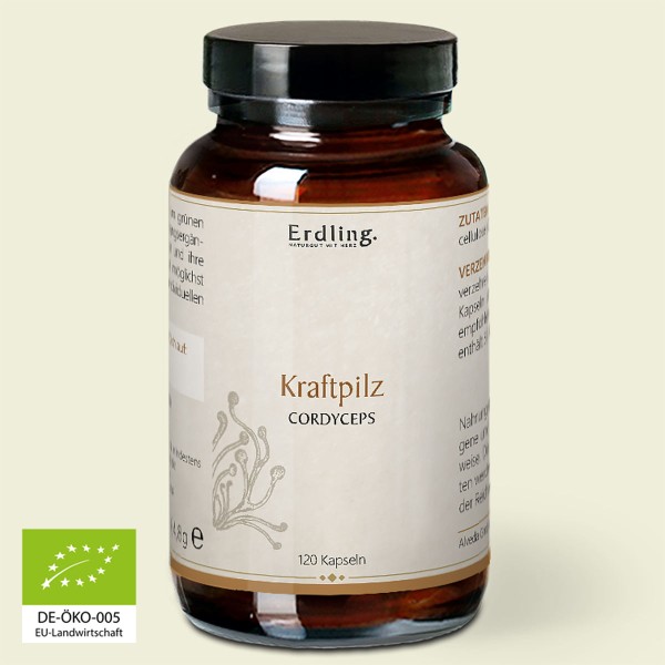 BIO Kraftpilz Cordyceps - Vitalpilz - 120 Kapseln