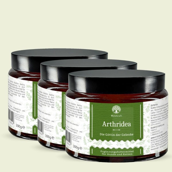 Set: 3er Pack - Arthridea - Die Göttin der Gelenke - Tiegel 3x 300g
