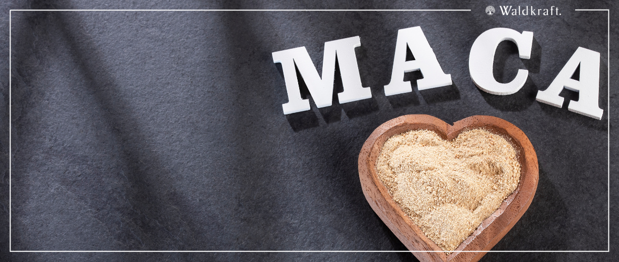 Maca - Extrakt