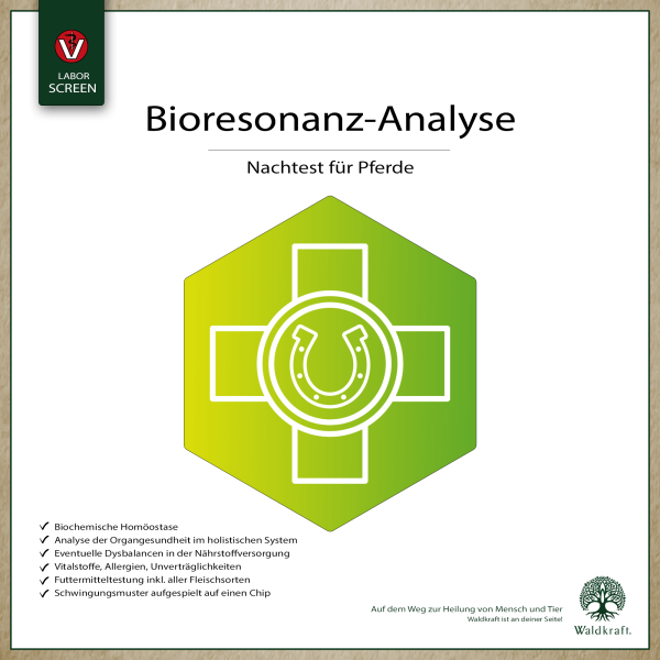 Bioresonance analysis horse retest