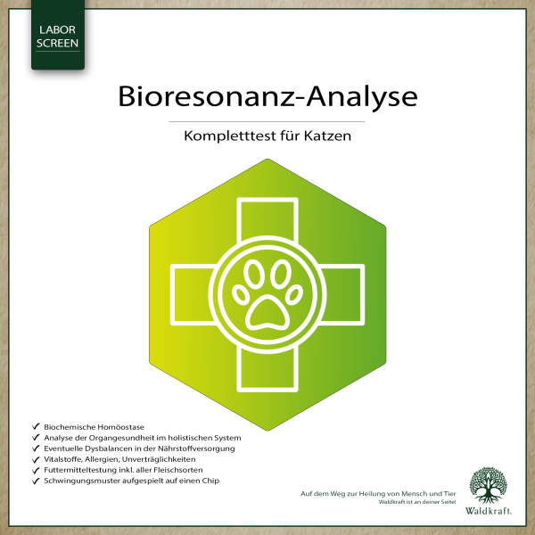 Bioresonanz-Analyse Katze