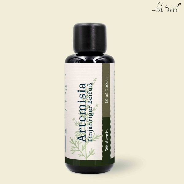 Artemisia - artemisia annuale