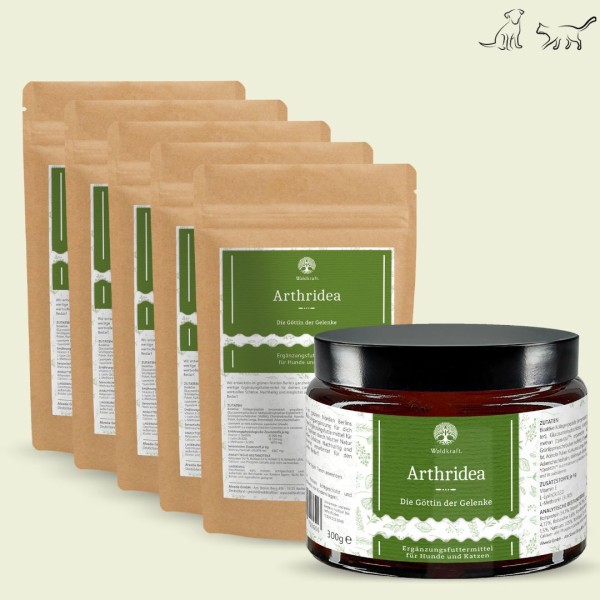 Set: 6er Pack - Arthridea - Die Göttin der Gelenke - Tiegel 1x 300g + Nachfüllpack 5x 300g