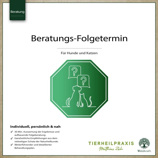 THP Folge-Beratungstermine