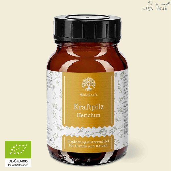 BIO Kraftpilz Hericium - Vitalpilzpulver - 100g