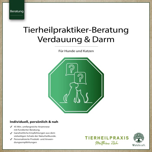 THP-Beratung: Verdauung und Darm