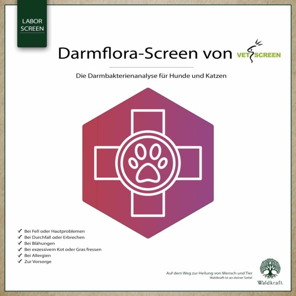 Darmflora-Screen